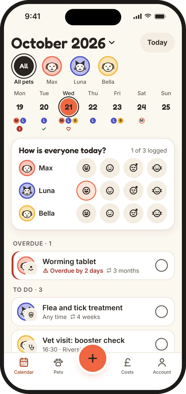 Boop calendar showing a week of care for three pets
