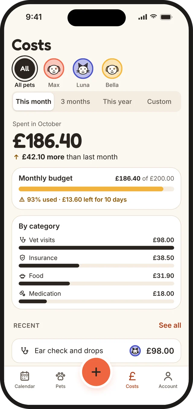 Boop costs screen with monthly spend and budget